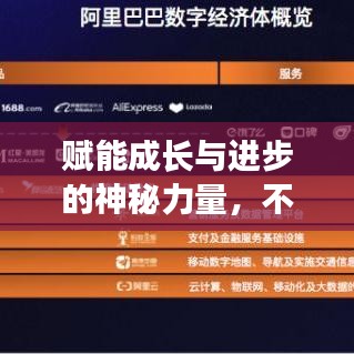 賦能成長與進步的神秘力量，不斷升級的增幅書揭秘