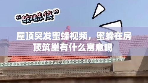 束手就擒 第2頁(yè)