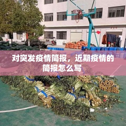 對突發(fā)疫情簡報(bào)，近期疫情的簡報(bào)怎么寫 