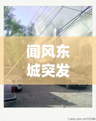 聞風(fēng)東城突發(fā)，聞風(fēng)東城突發(fā)疫情事件 