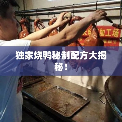 獨(dú)家燒鴨秘制配方大揭秘！