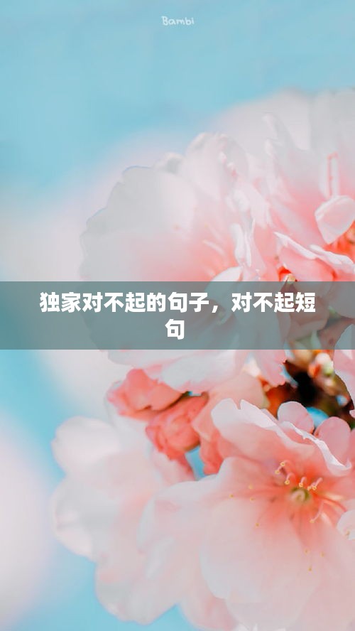 獨(dú)家對(duì)不起的句子，對(duì)不起短句 