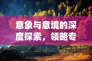 意象與意境的深度探索，領略專題魅力