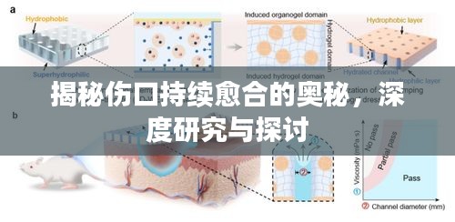 七上八下 第2頁