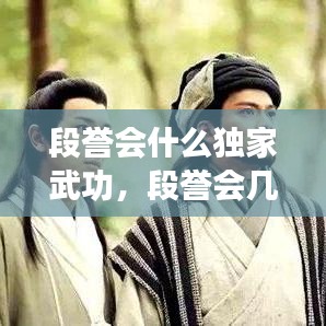 段譽(yù)會(huì)什么獨(dú)家武功，段譽(yù)會(huì)幾種武功 
