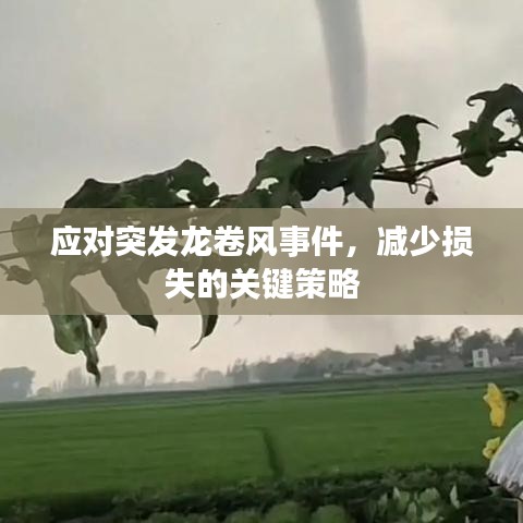 應(yīng)對(duì)突發(fā)龍卷風(fēng)事件，減少損失的關(guān)鍵策略