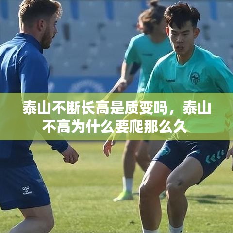 泰山不斷長高是質(zhì)變嗎，泰山不高為什么要爬那么久 