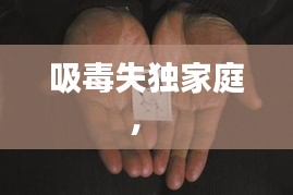 吸毒失獨(dú)家庭， 