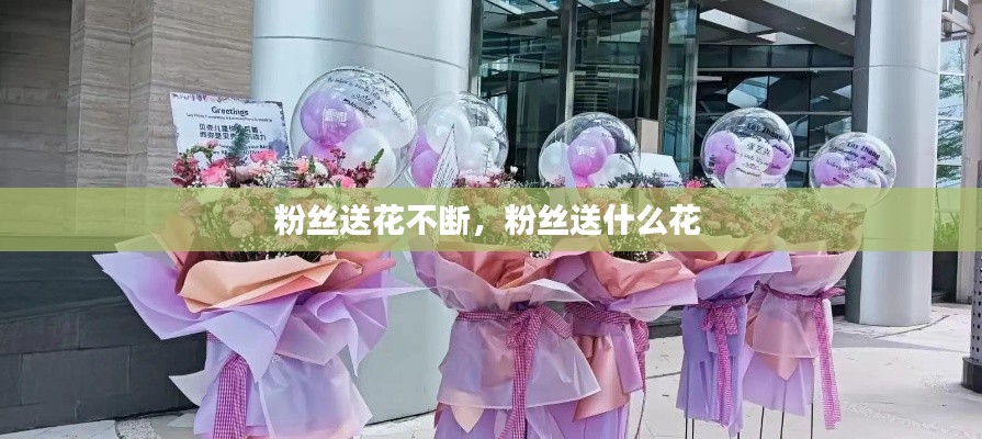 粉絲送花不斷，粉絲送什么花 