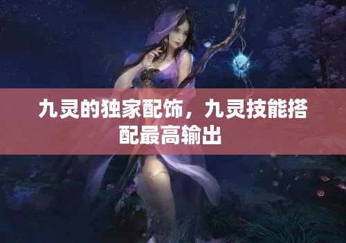 九靈的獨(dú)家配飾，九靈技能搭配最高輸出 
