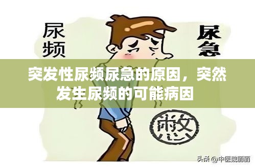 突發(fā)性尿頻尿急的原因，突然發(fā)生尿頻的可能病因 