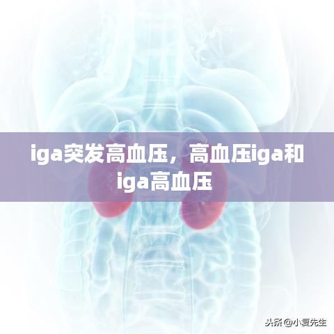 iga突發(fā)高血壓，高血壓iga和iga高血壓 