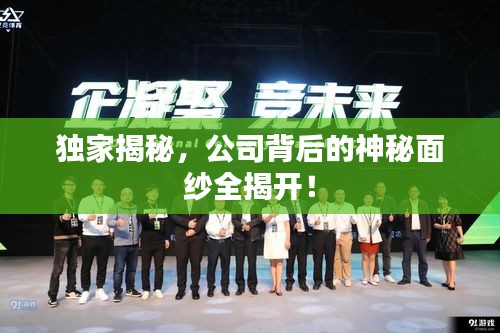 獨家揭秘，公司背后的神秘面紗全揭開！