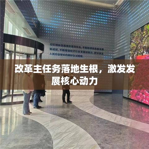 改革主任務(wù)落地生根，激發(fā)發(fā)展核心動(dòng)力