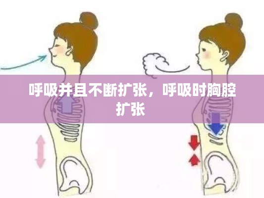 呼吸并且不斷擴張，呼吸時胸腔擴張 