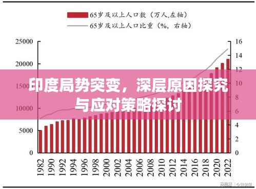 印度局勢突變，深層原因探究與應(yīng)對策略探討