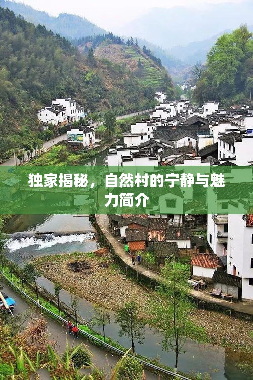 獨(dú)家揭秘，自然村的寧?kù)o與魅力簡(jiǎn)介