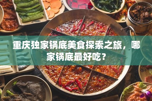 重慶獨(dú)家鍋底美食探索之旅，哪家鍋底最好吃？