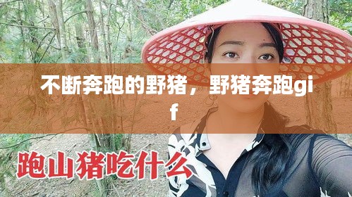 不斷奔跑的野豬，野豬奔跑gif 