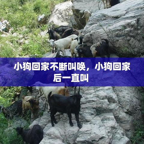 堅(jiān)持不懈 第2頁(yè)