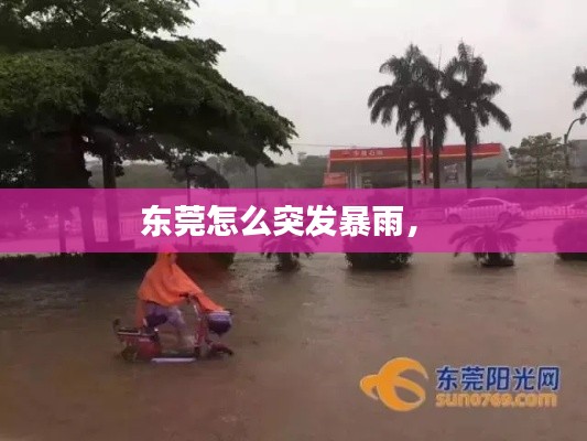 東莞怎么突發(fā)暴雨， 