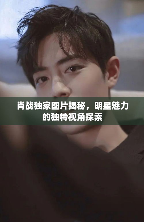 肖戰(zhàn)獨家圖片揭秘，明星魅力的獨特視角探索
