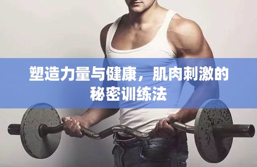 塑造力量與健康，肌肉刺激的秘密訓(xùn)練法