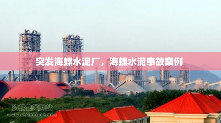 突發(fā)海螺水泥廠，海螺水泥事故案例 