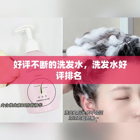 好評(píng)不斷的洗發(fā)水，洗發(fā)水好評(píng)排名 