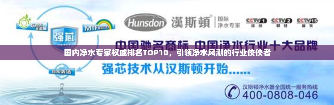 國內(nèi)凈水專家權(quán)威排名TOP10，引領(lǐng)凈水風(fēng)潮的行業(yè)佼佼者