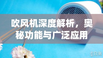 吹風(fēng)機(jī)深度解析，奧秘功能與廣泛應(yīng)用探索