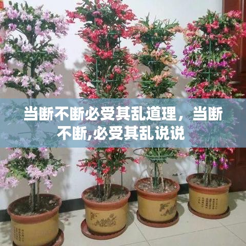當(dāng)斷不斷必受其亂道理，當(dāng)斷不斷,必受其亂說(shuō)說(shuō) 