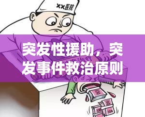 突發(fā)性援助，突發(fā)事件救治原則 
