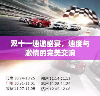 雙十一速遞盛宴，速度與激情的完美交響
