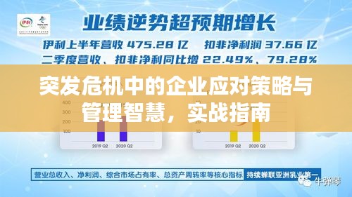 突發(fā)危機中的企業(yè)應(yīng)對策略與管理智慧，實戰(zhàn)指南