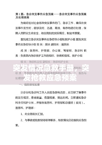 突發(fā)情況急救手冊，突發(fā)搶救應(yīng)急預(yù)案 