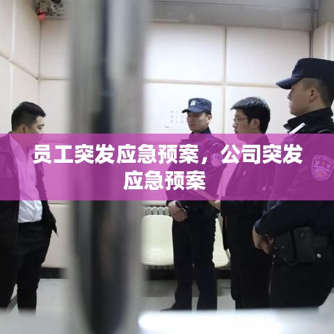 員工突發(fā)應(yīng)急預(yù)案，公司突發(fā)應(yīng)急預(yù)案 