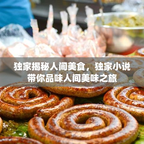 獨(dú)家揭秘人間美食，獨(dú)家小說(shuō)帶你品味人間美味之旅