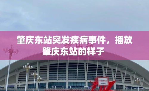 肇慶東站突發(fā)疾病事件，播放肇慶東站的樣子 
