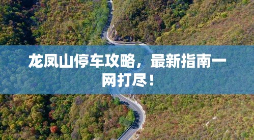 龍鳳山停車攻略，最新指南一網(wǎng)打盡！