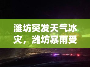 火傘高張 第2頁