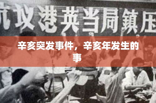 辛亥突發(fā)事件，辛亥年發(fā)生的事 