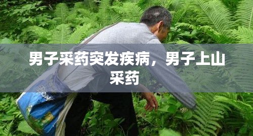 男子采藥突發(fā)疾病，男子上山采藥 