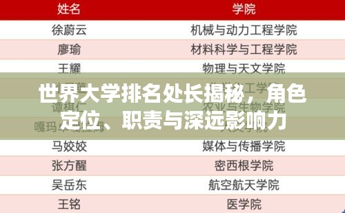 世界大學(xué)排名處長揭秘，角色定位、職責(zé)與深遠(yuǎn)影響力