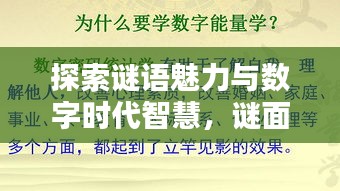 探索謎語魅力與數(shù)字時代智慧，謎面斷字與百度搜索的奇妙結(jié)合