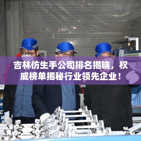 吉林仿生手公司排名揭曉，權(quán)威榜單揭秘行業(yè)領(lǐng)先企業(yè)！