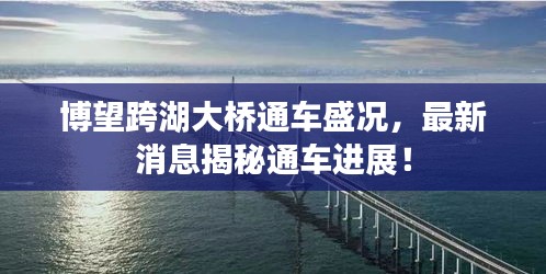 博望跨湖大橋通車盛況，最新消息揭秘通車進(jìn)展！