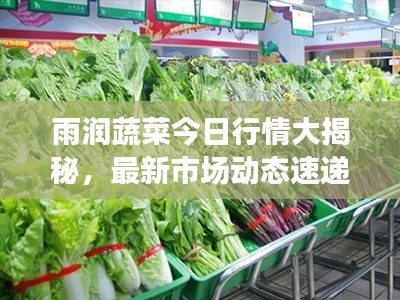 雨潤蔬菜今日行情大揭秘，最新市場動態(tài)速遞