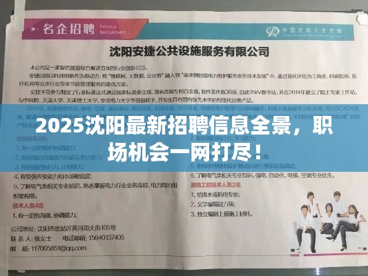 2025沈陽最新招聘信息全景，職場機(jī)會(huì)一網(wǎng)打盡！