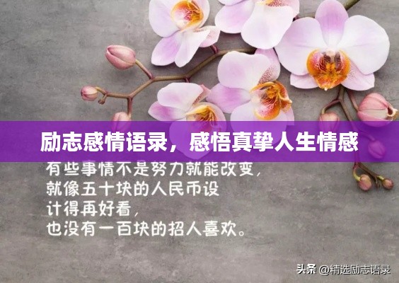 勵志感情語錄，感悟真摯人生情感